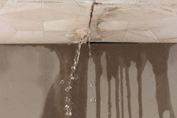 Professional Structural Drying technician working in Morgan, GA